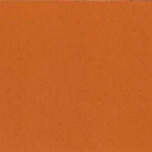 Peinture Tan en pinte CASEIH (B17661VOC)